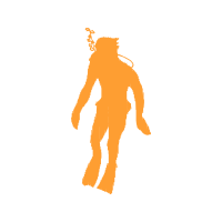 The Arts Wedding The Arts Wedding