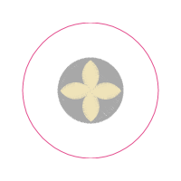 The Bible James Moffatt Translation With Concordance Wedding