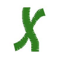 Tights Wedding Tights Wedding