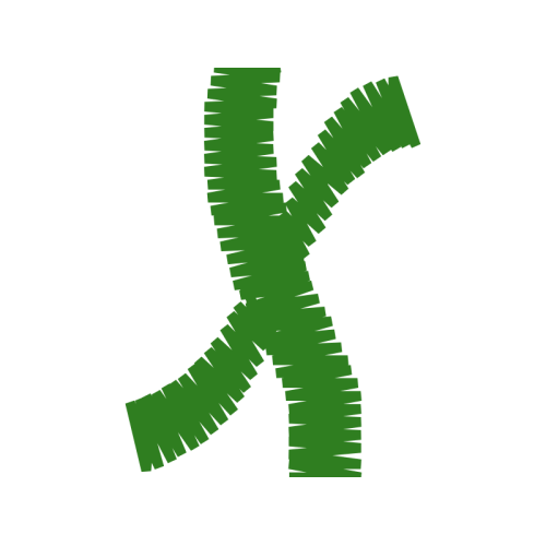 Tights Wedding Tights Wedding