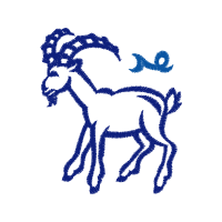 Towel Wedding Towel Wedding