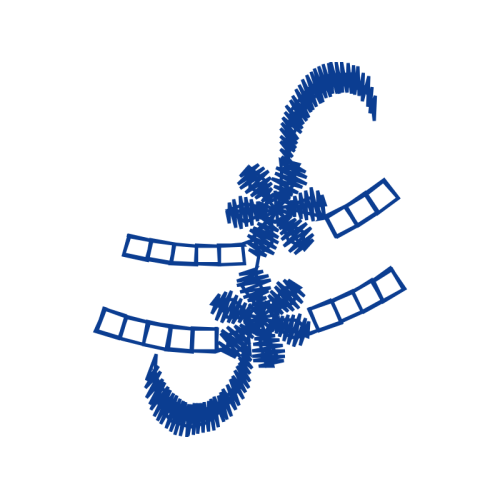 Ultrasound Wedding Ultrasound Wedding