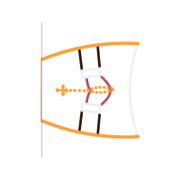 Underpants Wedding Underpants Wedding