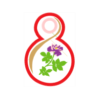 Vervain Wedding Vervain Wedding