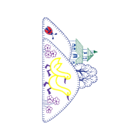 Image Wedding Image Wedding