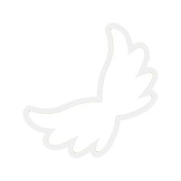 White Wedding White Wedding