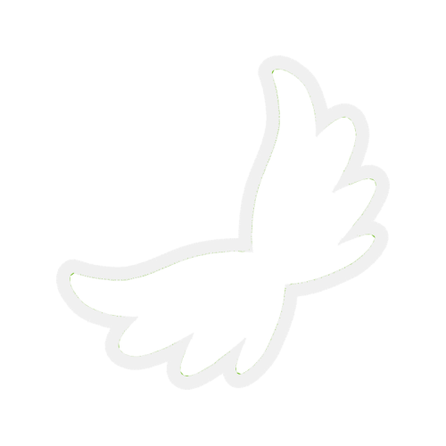 White Wedding White Wedding