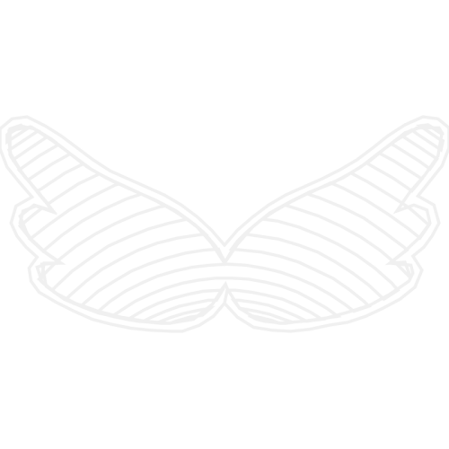 White Wedding White Wedding