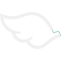 White Wedding White Wedding