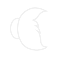 White Wedding White Wedding