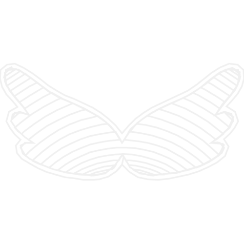 White Wedding White Wedding