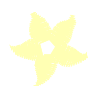 White Wedding White Wedding