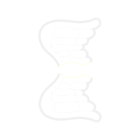 Wing Wedding Wing Wedding