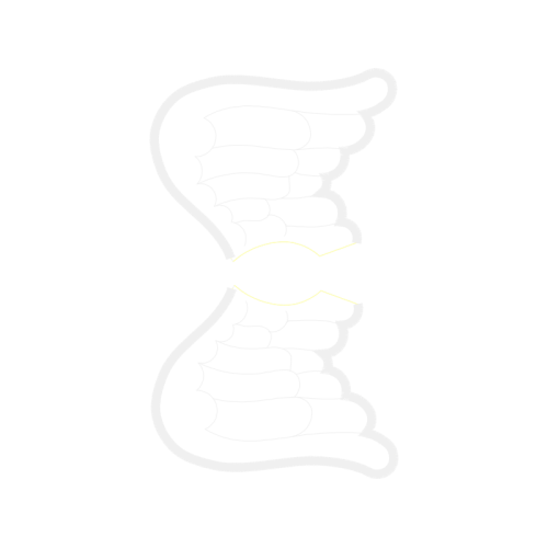 Wing Wedding Wing Wedding