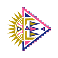 World Dodgeball Association Wedding