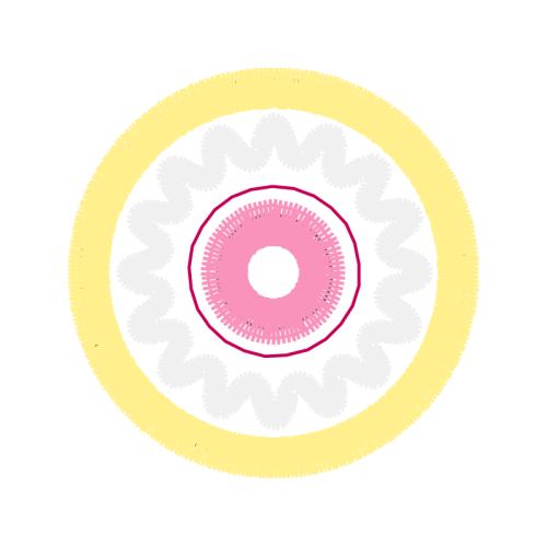 Zedbazi Wedding Zedbazi Wedding