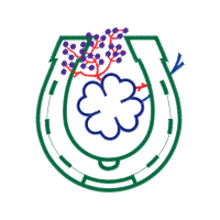 Wedding Wedding Wedding Wedding