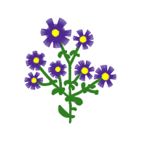 African Daisies Wedding