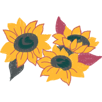 African Daisies Wedding