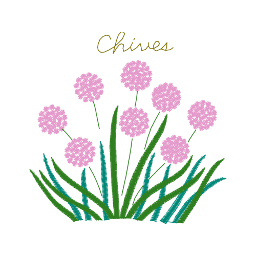 Allium Wedding Allium Wedding