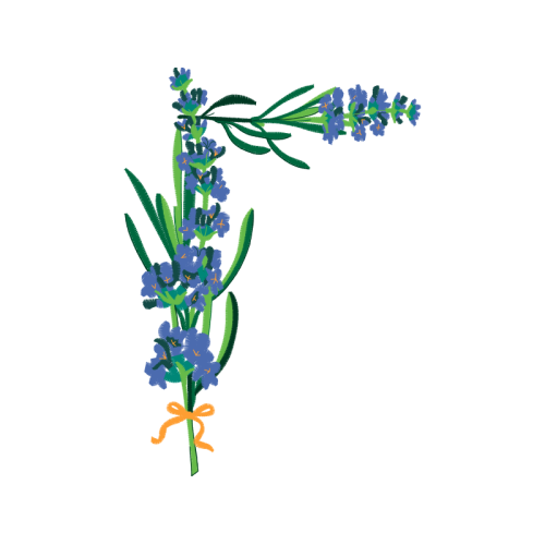 Alphabet Wedding Alphabet Wedding