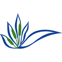 Art Wedding Art Wedding