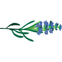 Art Wedding Art Wedding