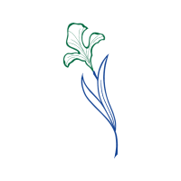 Art Wedding Art Wedding