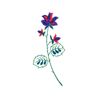 Art Wedding Art Wedding