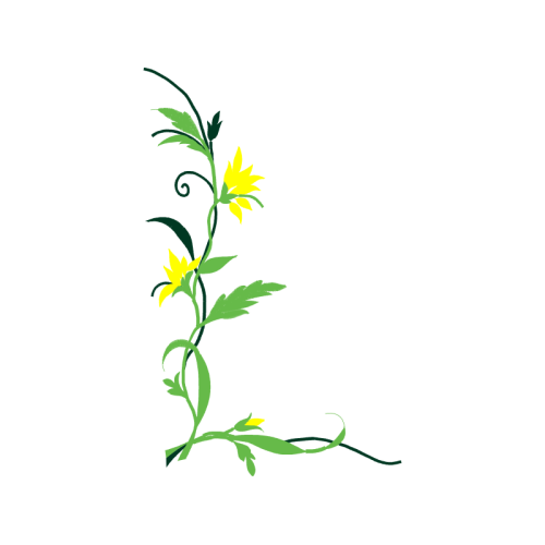 Art Wedding Art Wedding