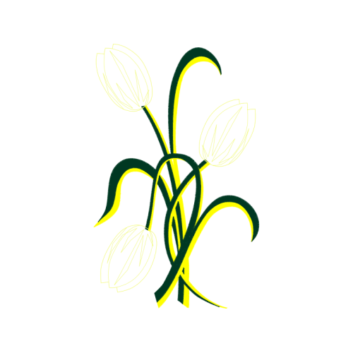 Art Wedding Art Wedding