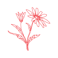 Art Wedding Art Wedding