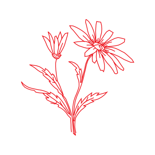 Art Wedding Art Wedding