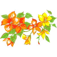 Art Wedding Art Wedding