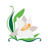 Art Wedding Art Wedding