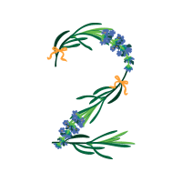 Art Wedding Art Wedding