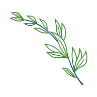 Art Wedding Art Wedding