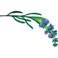 Art Wedding Art Wedding