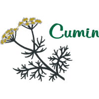 Artificial Physical Structure Wedding Artificial Physical Structure Wedding