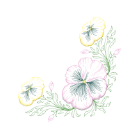 Ashy Cranesbill Wedding Ashy Cranesbill Wedding