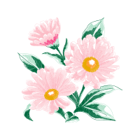 Aster Wedding Aster Wedding