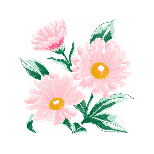 Aster Wedding Aster Wedding