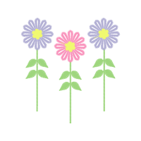 Aster Wedding Aster Wedding