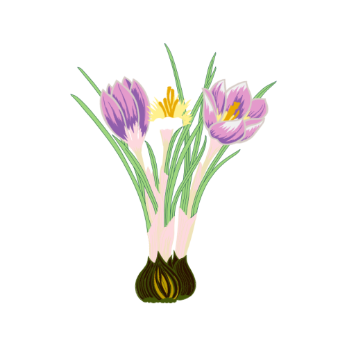 Autumn Crocus Wedding Autumn Crocus Wedding