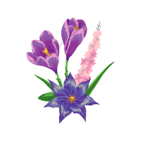 Autumn Crocus Wedding Autumn Crocus Wedding