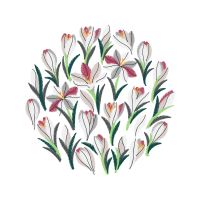 Autumn Crocus Wedding