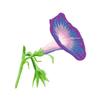 Available Wedding Available Wedding