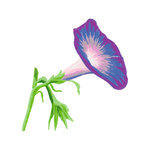 Available Wedding Available Wedding