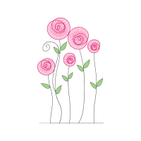 Barberton Daisy Wedding Barberton Daisy Wedding