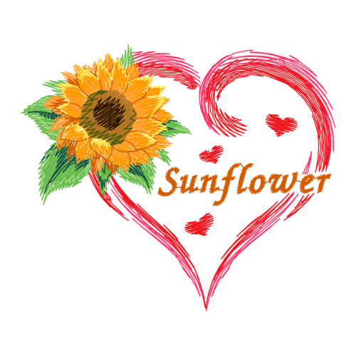 Barberton Daisy Wedding Barberton Daisy Wedding